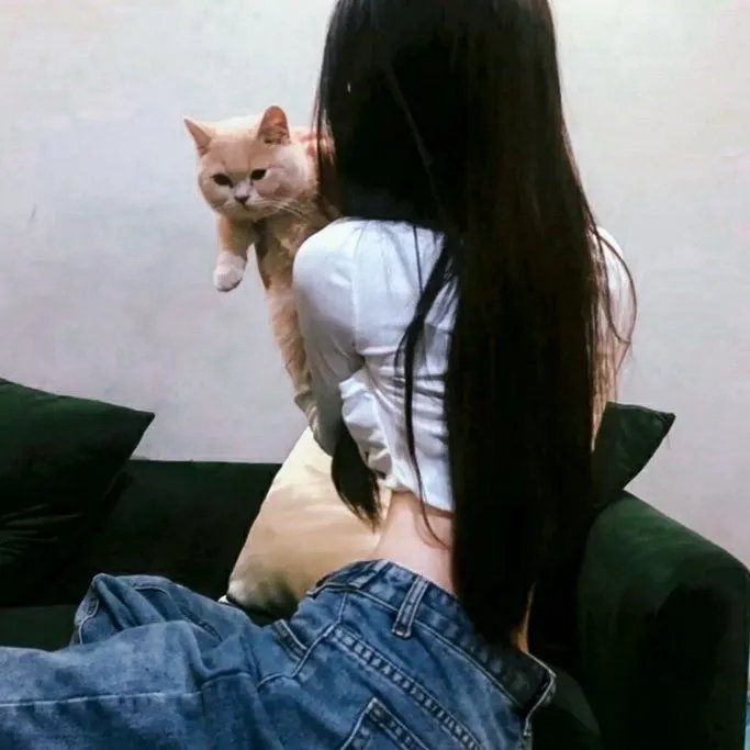 肥龙过江